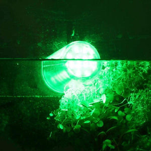 12V LED Fischen-Licht