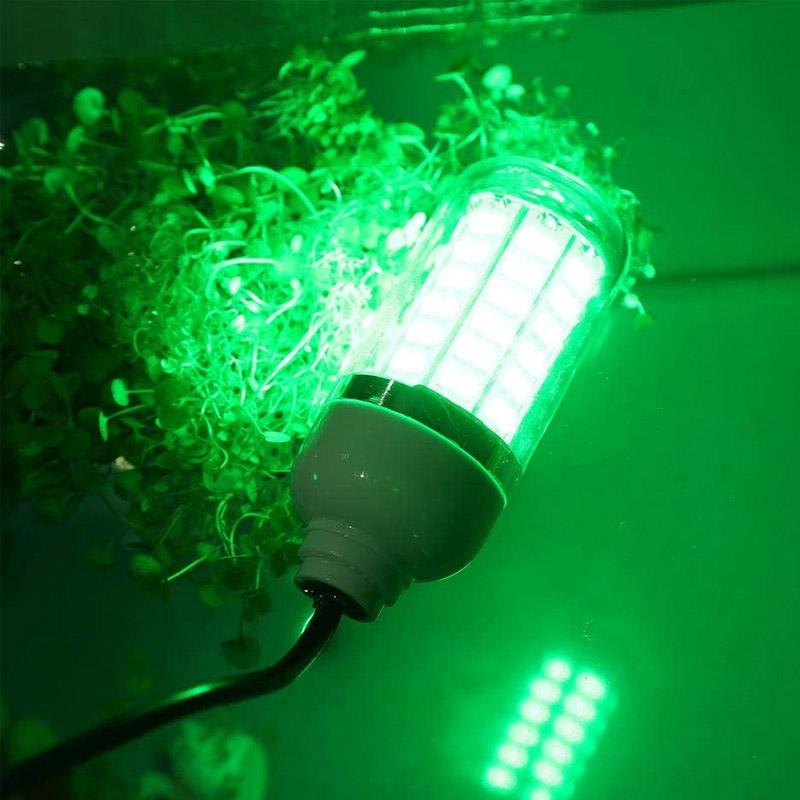 12V LED Fischen-Licht